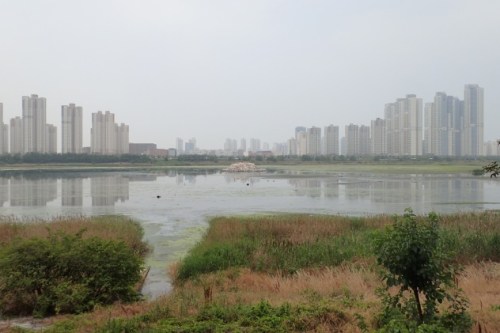 SPOON-Korea-June2017-image3